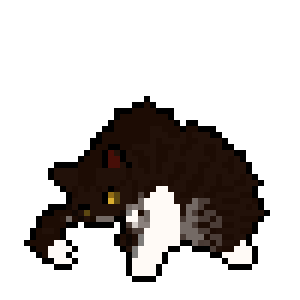 Mudpelt