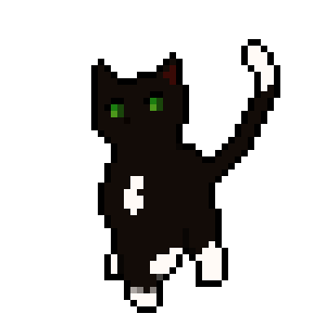 Shadowchaser